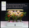 Hydroponics System Box Intelligent Full Spectrum Grow Light Mini Green Garden Plant Vegetable / Flower / Fruit