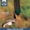 Flipper Squirrel-Proof Tube Bird Feeder, Green