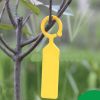 100 Pcs Plastic Plant Label Nursery Plant Tree Hanging Tags Garden Labels with Buckle Waterproof Tag