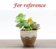 2 Pack Retro Succulent Planter Pots Lovely Resin Lace Crown Cactus Bonsai Plant Containers