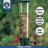 Flipper Squirrel-Proof Tube Bird Feeder, Green